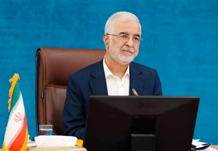 مومنی: 70درصد اتباع داوطلبانه از کشور خارج شدند