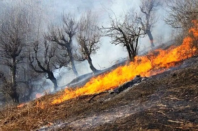 کوه آبیدر