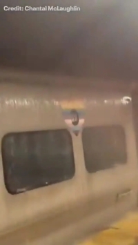 نیویورک استخر شد