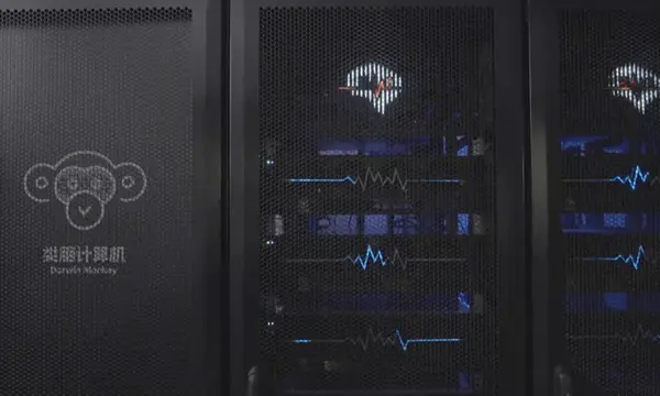 600 (1)