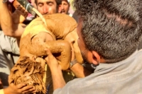 ببینید؛ نجات کودک سوری پس از 16 ساعت گرفتار شدن در چاه 50 متری