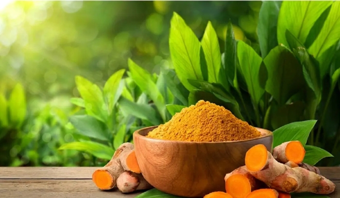 مصرف این نوع ادویه در صبحانه برای کبد چرب پرفایده است