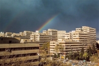 جزییات ماجرای عجیب کشف جسد مادر و دختر در اکباتان