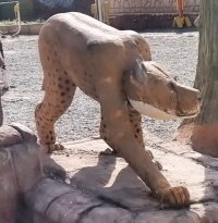 هنرنمایی عجیب شهرداری در ساخت یک مجسمه