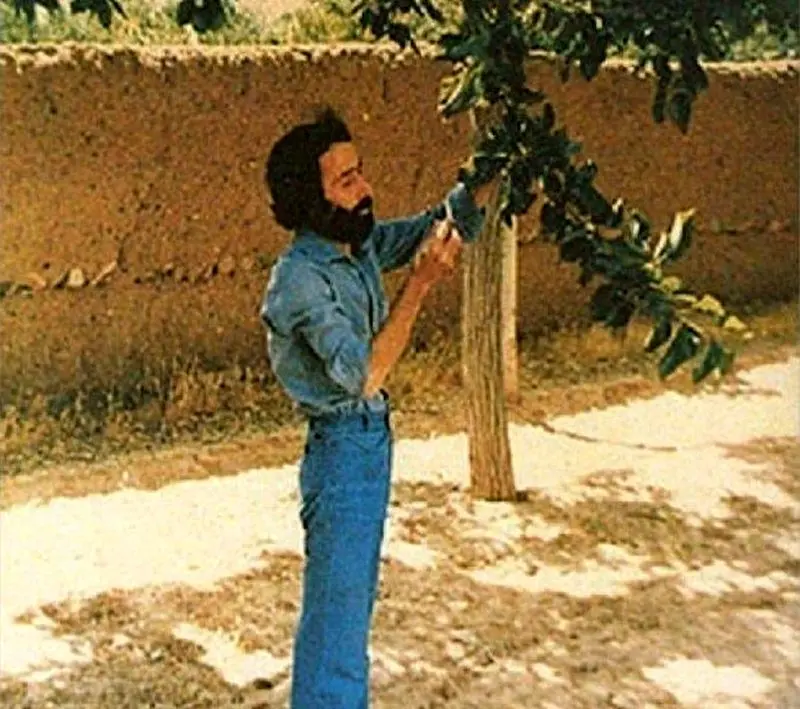سهراب سپهری