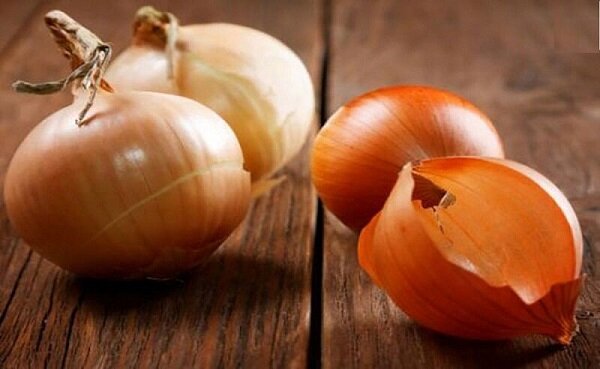 داشتن روده سالم با این ماده مغذی/ معرفی 9 ماده غذایی حاوی پریبیوتیک