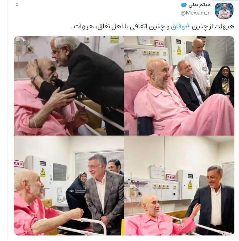 میثم نیلی