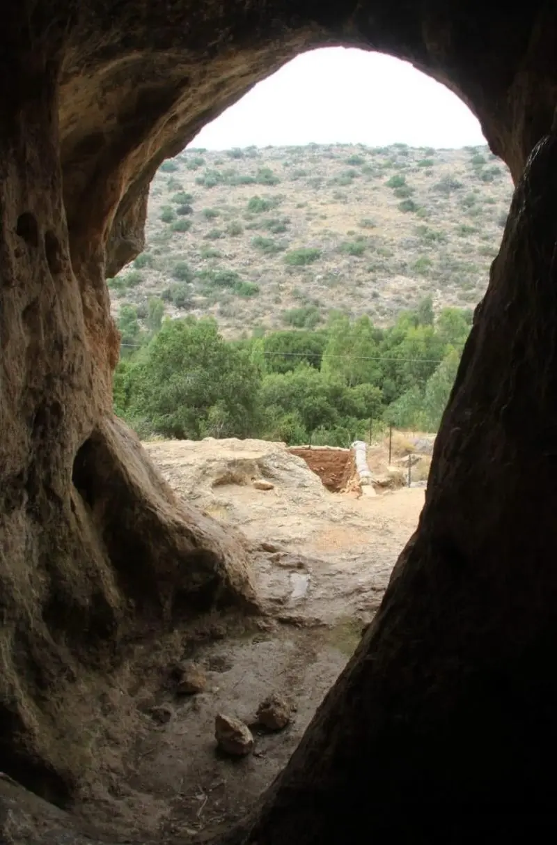 انسان ترکیبی