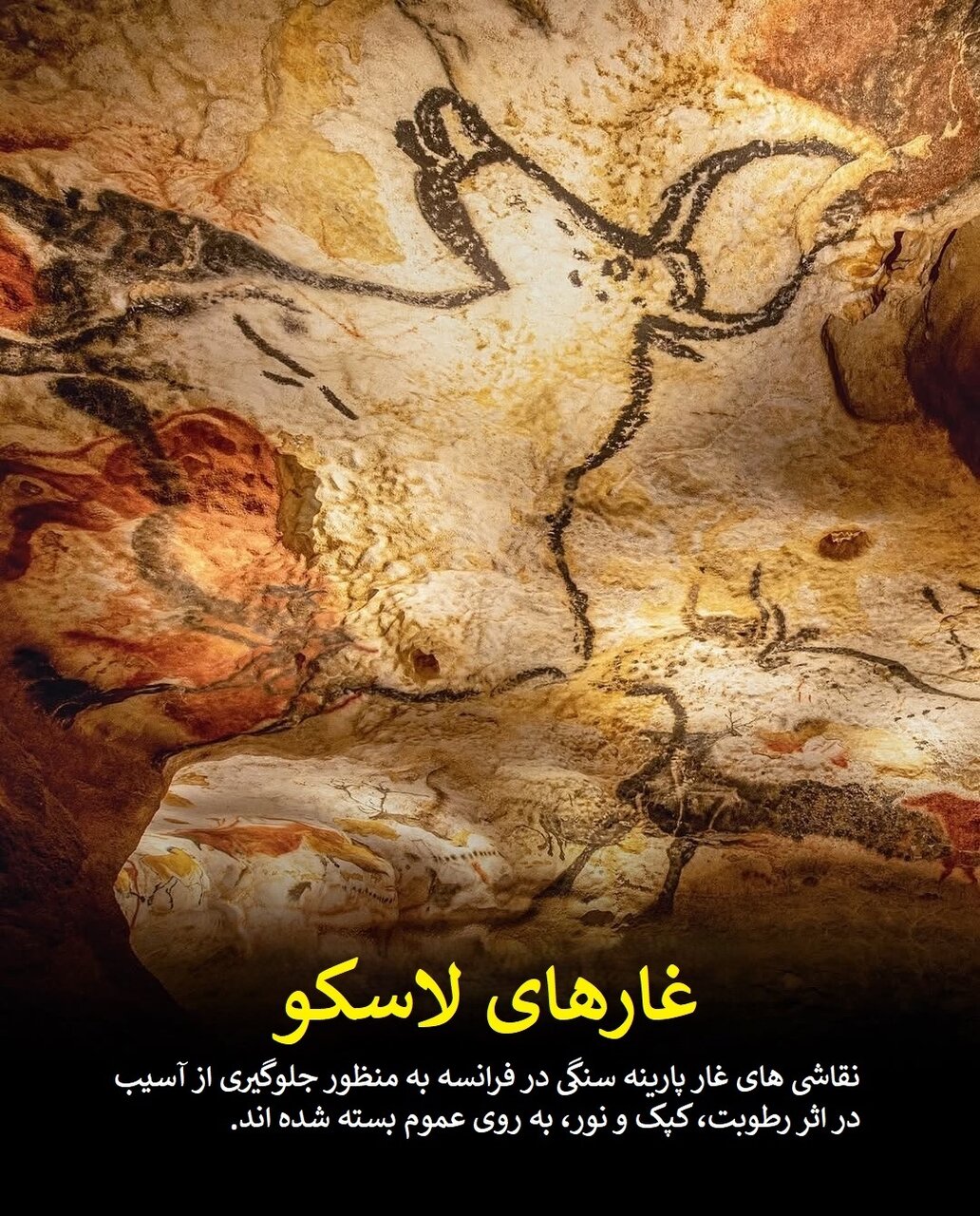 اسرار پشت درهای بسته؛ مکان‌هایی که ورود به آنها ممنوع است | عکس