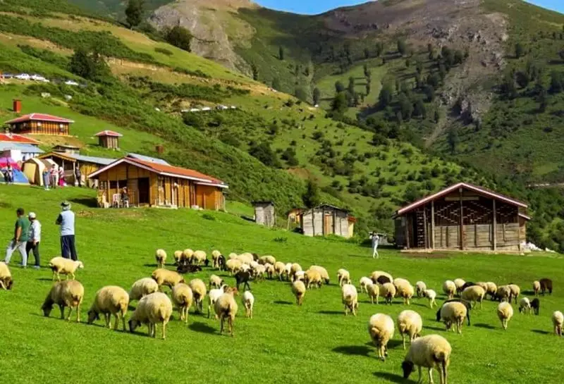 ییلاق سوچاله