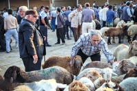قیمت دام زنده امروز چهارشنبه 12 شهریور/ تهران و یزد رکورددار گرانی