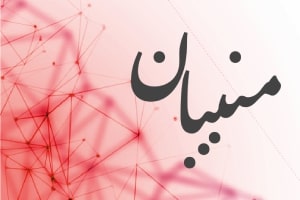 اختلال در جی‌پی‌اس هواپیمای فون‌درلاین/ انگشت اتهام ناتو به سمت کدام کشور است؟