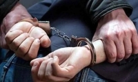 ردپای«خر» در باند بزرگ سرقت!
