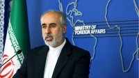 کنعانی: شورای امنیت سازمان ملل کور می‌کند، شفا نمی دهد!