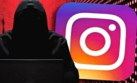 کلاهبرداری اینستاگرامی همسر سابق بازیگر سینما به بهانه حمایت از حیوانات
