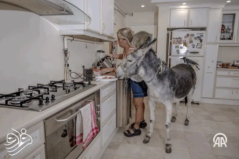 1076