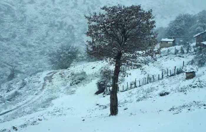 برف و باران و سرمای زودهنگام در راه 7 استان؛ خطر در کمین تهرانی‌ها