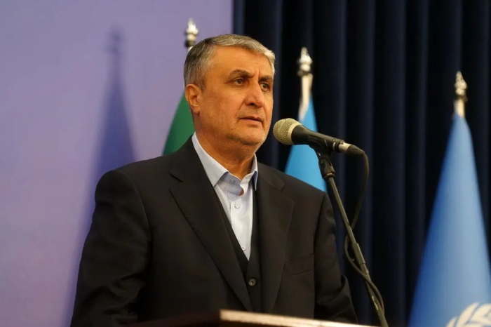 رییس سازمان انرژی اتمی: ایران به گفت‌وگو متعهد است/ نامه‌ای رسمی به آژانس فرستادیم
