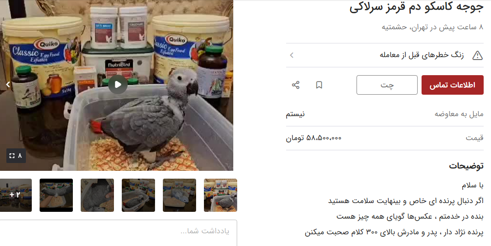 قیمت خرید کاسکو