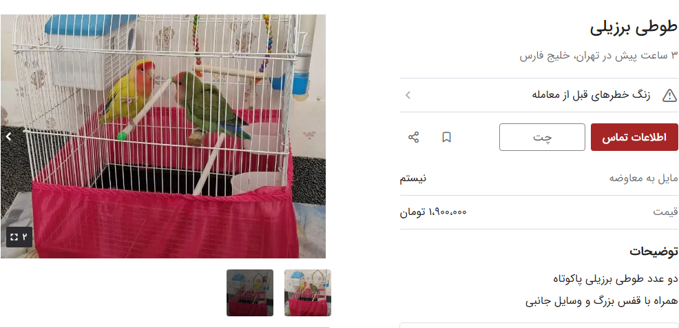 قیمت ارزان ترین طوطی