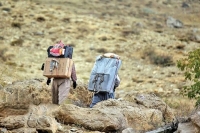 «کولبرها» چه می‌برند، چه می‌آورند و چه بر سر زندگی‌شان می‌آید؟