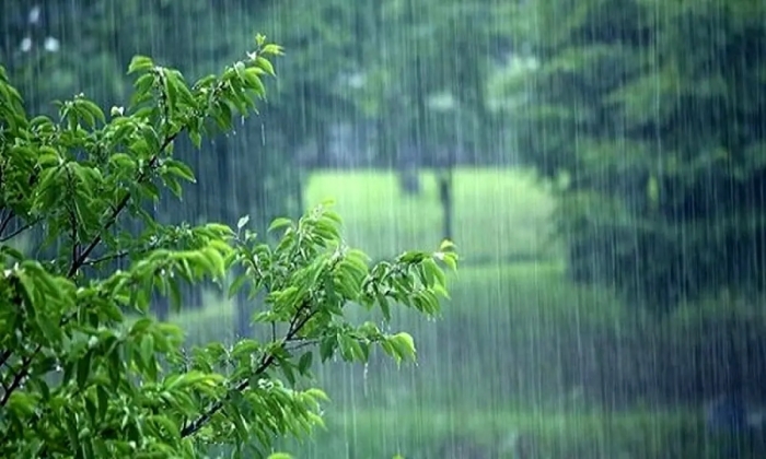 بارش باران از یکشنبه در این مناطق