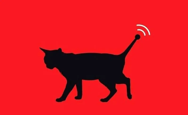 گربه جاسوس