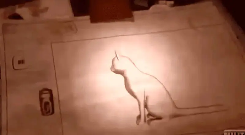 گربه جاسوس