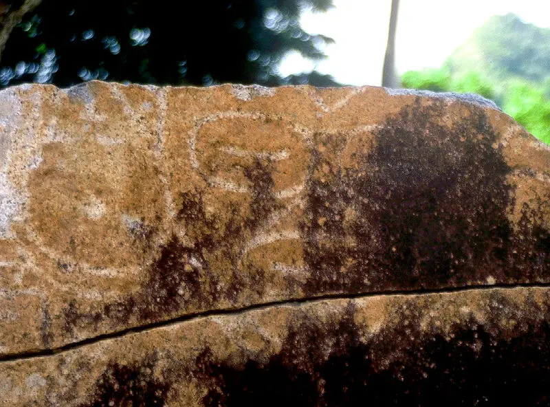 ادبیات
