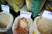 برنج ایرانی ارزان می‌شود؟