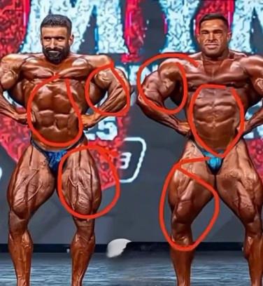 هادی چوپان