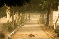 باد شدید در راه تهران