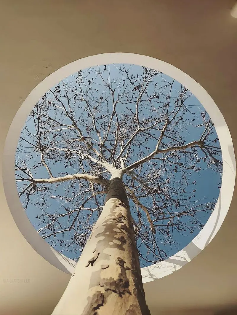 معماری خانه