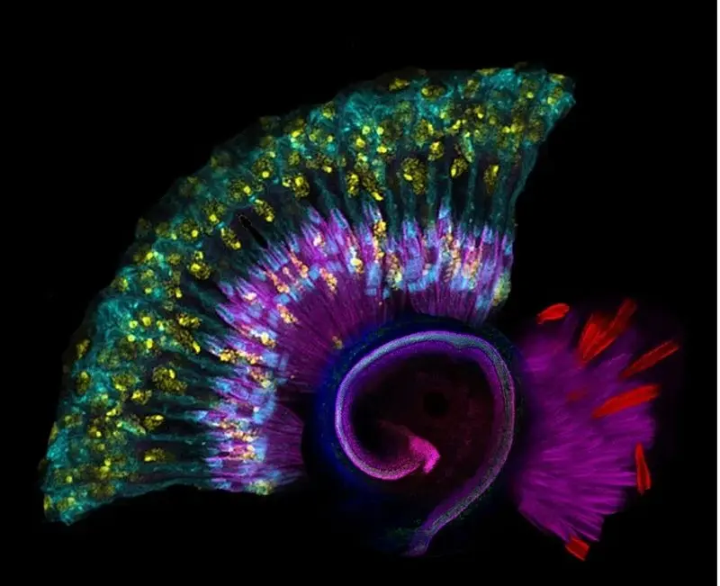 تصاویر علمی