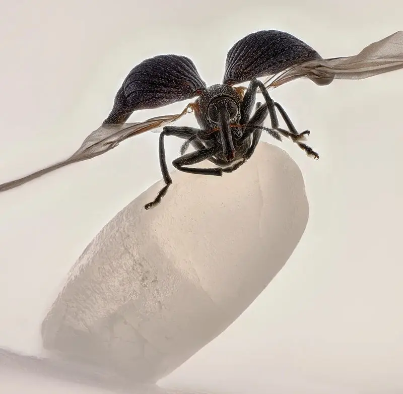 تصاویر علمی