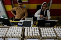 قیمت جدید هر شانه تخم‌مرغ در بازار