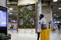 بلیط هواپیما گران می‌شود