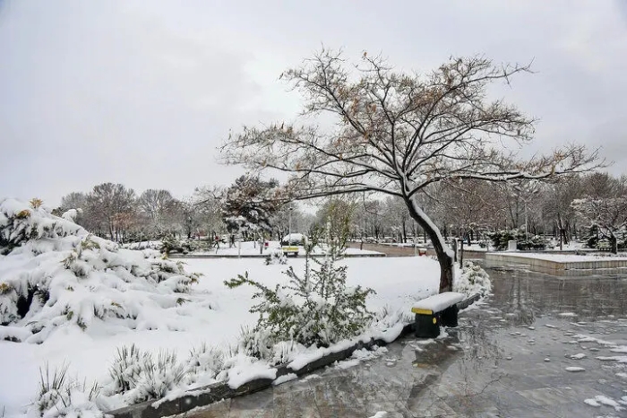 سرمای شبانه در 5 مرکز استان ادامه دارد