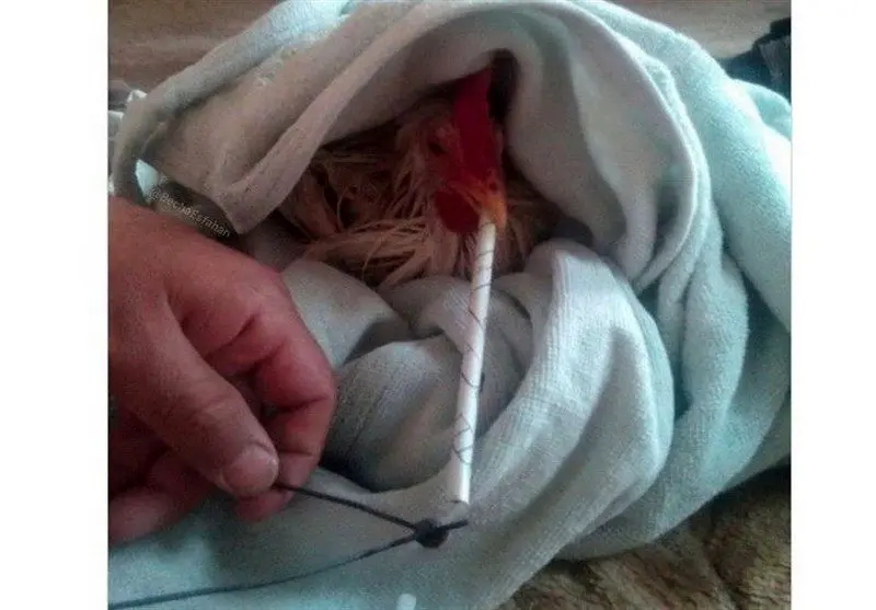 1404081813172581934634744