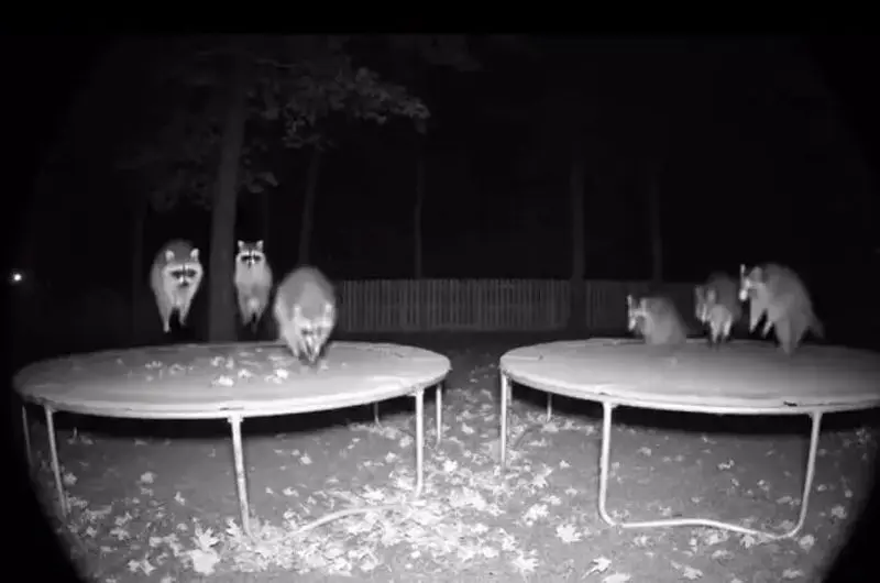 تصاویر هوش مصنوعی