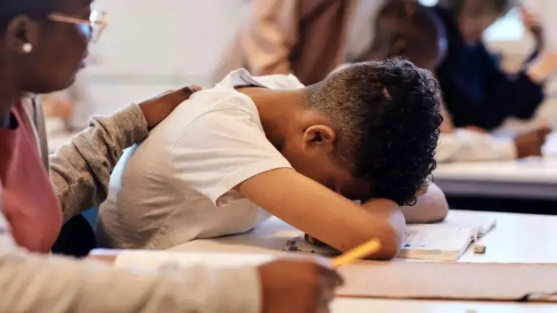 photo_2025-11-10_14-55-59