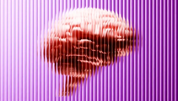 منبع اضطراب کجاست و چگونه می‌توانیم آن را متوقف کنیم؟