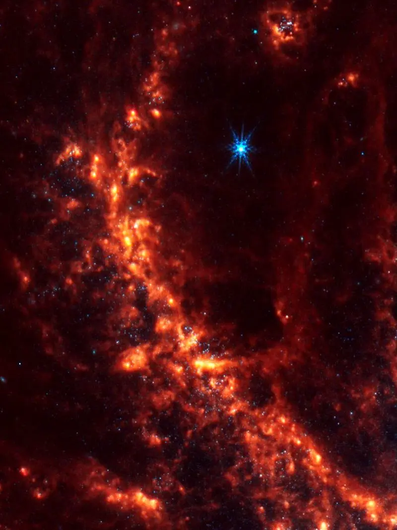 photo_2025-11-15_19-11-42