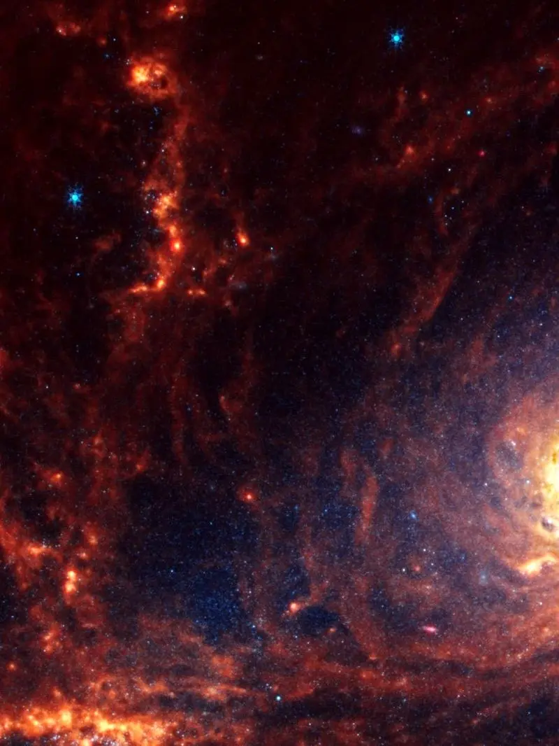 photo_2025-11-15_19-11-42 (2)