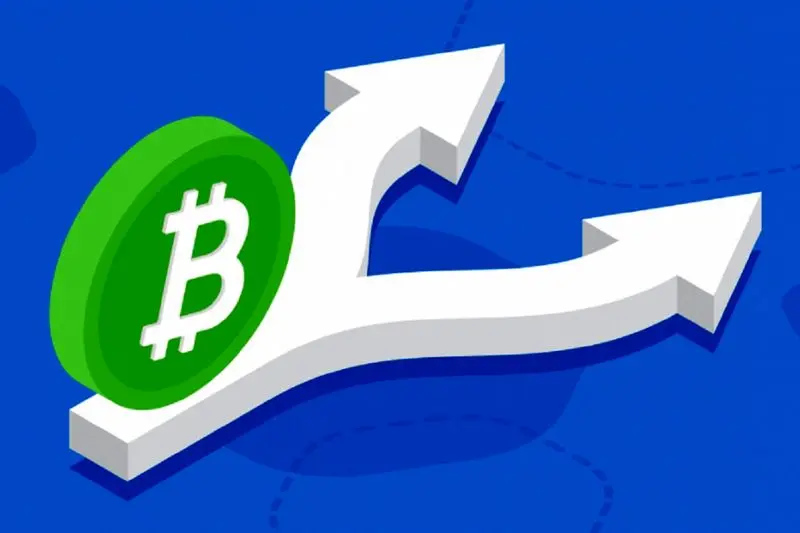 هارد فورک بیت کوین