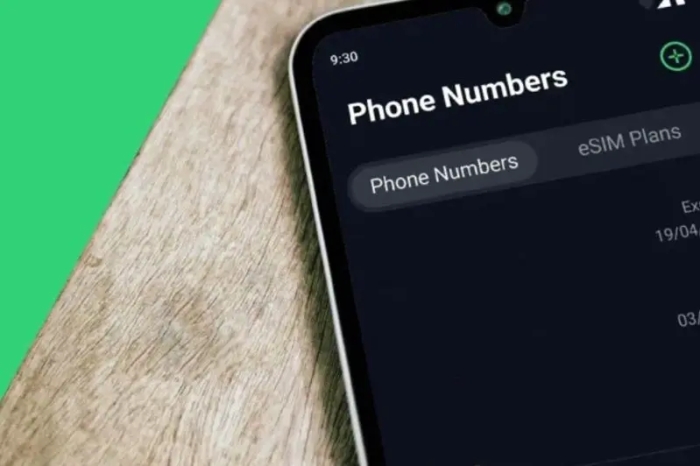 شماره مجازی به چه دردی می‌خورد و چقدر فروخته می‌شود؟