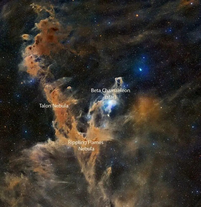  صورت فلکی آفتاب‌پرست