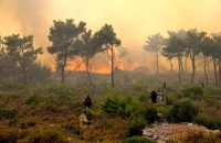 ادعای مهار آتش در جنگل‌های الیت اشتباه بود/ درخواست بالگرد دادیم گفتند بزرگ‌نمایی می‌کنید!