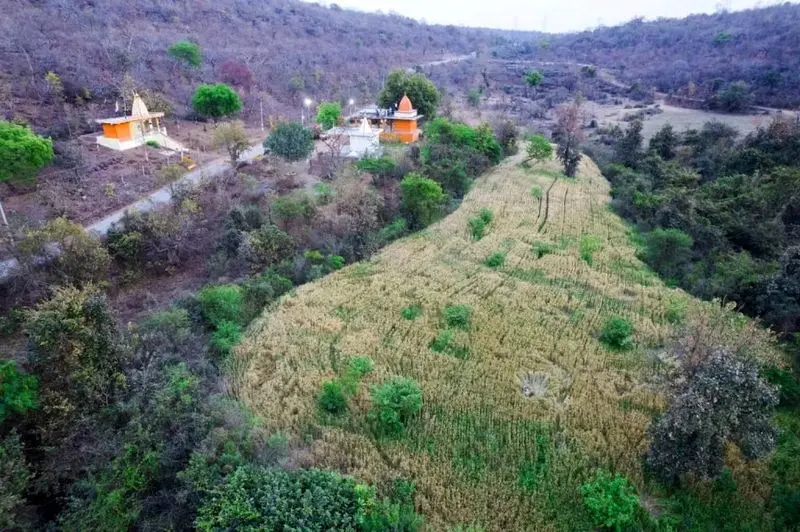 تصاویر حیات وحش 2025