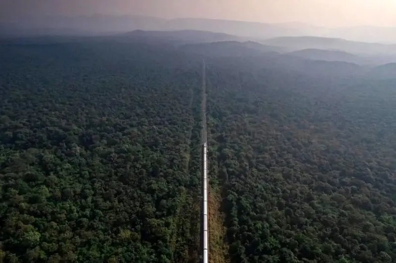 تصاویر حیات وحش 2025